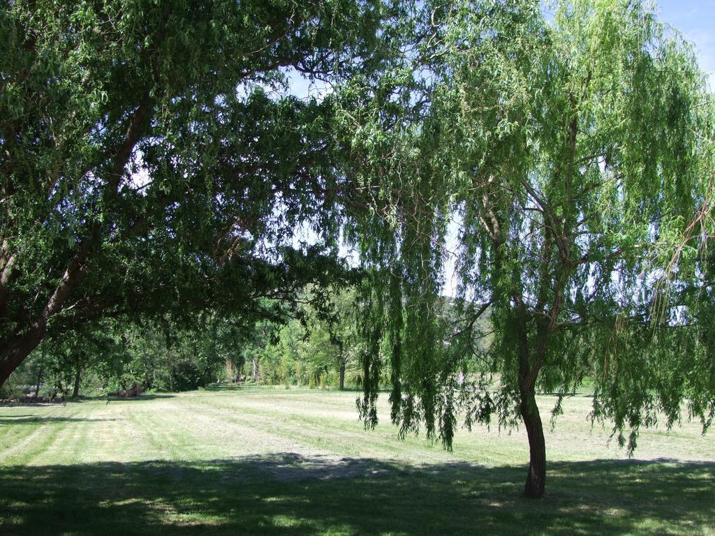La Magnanerie D'Hotes ,Le Jardin Secret Sauve Kültér fotó